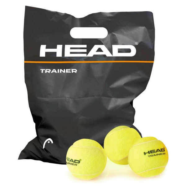 Head Trainer